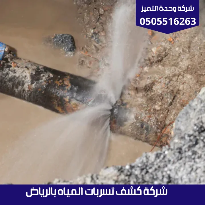 خدمة كشف تسربات المياه بالرياض