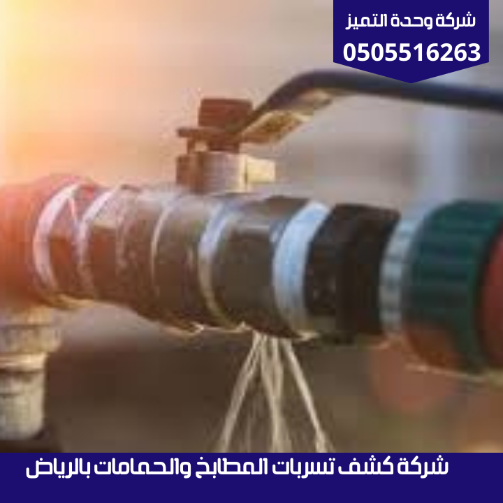 شركة كشف تسربات المطابخ والحمامات بالرياض