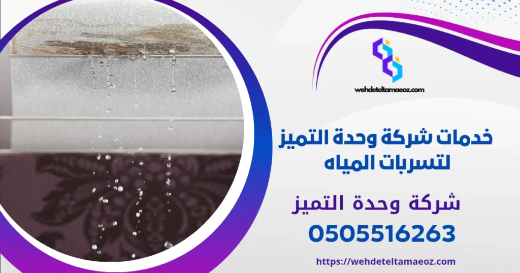 الفرق بين التسرب الظاهر والتسرب الخفي بالرياض | وحدة التميز لكشف التسربات وعزل الأسطح بالرياض الفرق بين التسرب الظاهر والتسرب الخفي بالرياض | وحدة التميز لكشف التسربات وعزل الأسطح بالرياض