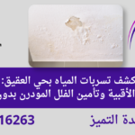 شركة كشف تسربات المياه بحي العقيق