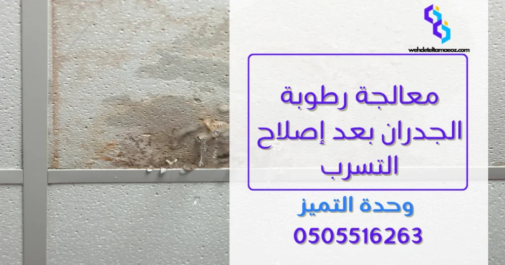 كشف تسربات المياه بحي لبن | وحدة التميز لكشف التسربات وعزل الأسطح بالرياض كشف تسربات المياه بحي لبن