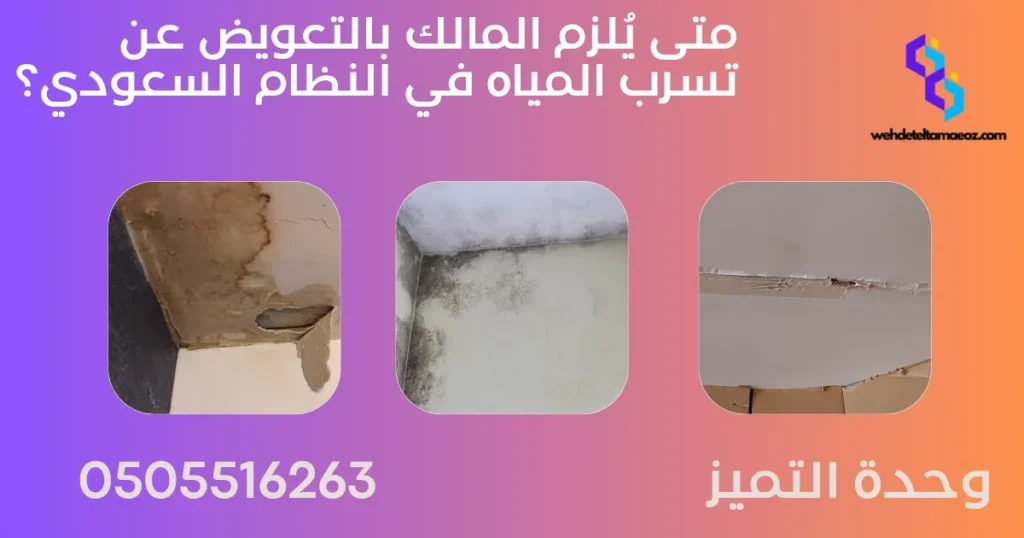 مسؤولية تسرب المياه بين المالك والمستأجر | وحدة التميز لكشف التسربات وعزل الأسطح بالرياض مسؤولية تسرب المياه بين المالك والمستأجر | وحدة التميز لكشف التسربات وعزل الأسطح بالرياض