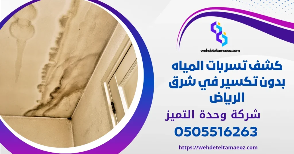 شركة كشف تسربات المياه شرق الرياض | وحدة التميز لكشف التسربات وعزل الأسطح بالرياض شركة كشف تسربات المياه شرق الرياض