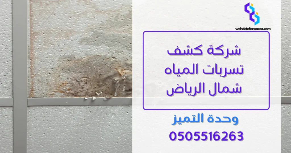 شركة كشف تسربات المياه شمال الرياض