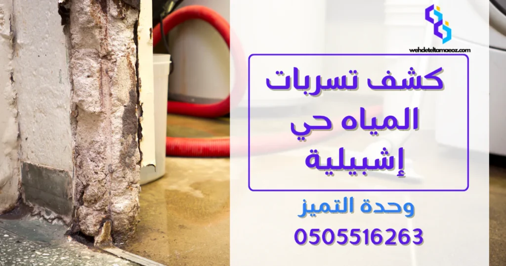 كشف تسربات المياه حي إشبيلية