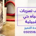 كشف تسربات المياه حي إشبيلية